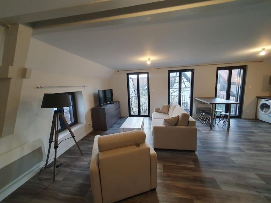 Appartement 2 Pieces Tout Confort, Aux Portes De Colmar Andolsheim Extérieur photo